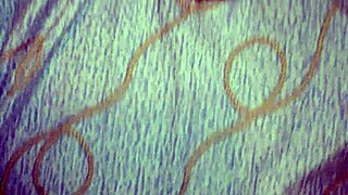 She begs for fingering and orgasm with toys in homemade video