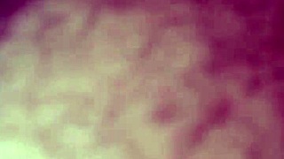 Willy And Jesse Share With Matthew.