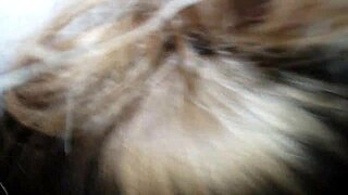 Keisha hints at giving an amazing blowjob to that big cock