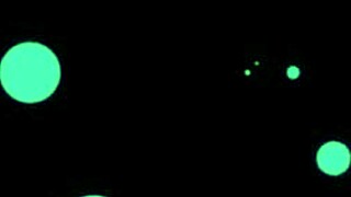 Will Sexy Amateur Dana Suck That Big Cock Deepthroat Style In POV?