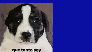 Is My Mother a Succubus? Watch This Hentai