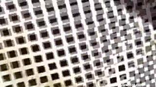 sex in the sunshine with florida amateurs when feeling good