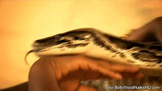 hey, wanna see my exotic oriental lover strip for you?