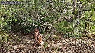 i give in to public anal just for his help