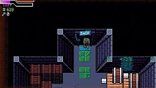 Holy Crap, Tailbound's 8-Bit Gay Furry Blowjob Madness!