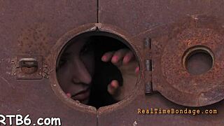 European couple engages in rough hardcore fucking with blowjob and oral sex