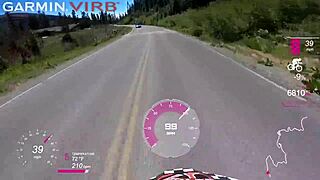 Will You Suck My Balls from Mt Lassen to Tahoe?