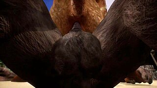 minotaur and lion share a moment in the wildlife setting