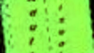 summertime saga 138 episode features erotic cartoon anime adventures