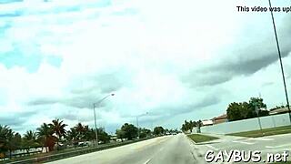 two gay lads sucking cocks