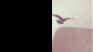 Vivi Guedez Feels Passion in Naughty Threesome Sex