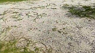 yo, how’d patricinha’s private vids leak online like this?