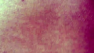 latina with big tits gets banged in anal and blowjob session