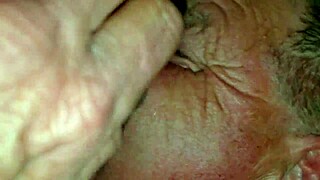 partner eagerly sucking brett's cock in passionate session