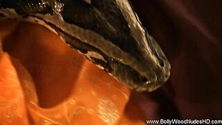 Exploring forbidden desires in india