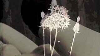 so, Dark Lantern Entertainment drops this retro Beauty and the Beast vibe.