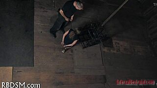 免费SM游戏刺激玩法