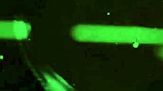 dark lantern presents sins of ancestors from erotic confessions