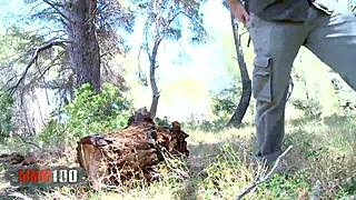 Perfect spanish pornstar susi gala performs in the woods