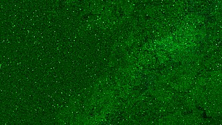 Tease That Little 18+ Wet Pussy!