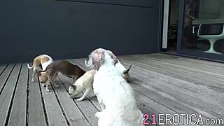 Hey, watch Akira May get eaten out then doggystyle fucked!