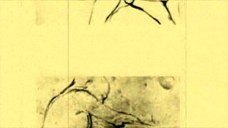 Exploring vintage erotic drawings from antique anime and hentai collections