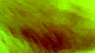 alineflavio shares update 151