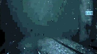 Exploring vintage erotic drawings from antique anime and hentai collections