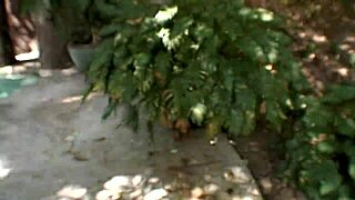 this cougar milf housewife craves a fat cock for rough play