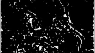 staying at motel with anime characters 😊