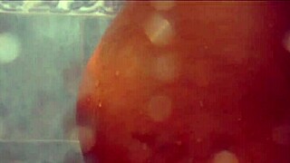 nasty latina teen pees in the shower for fetish fun