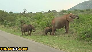 Holiday Vibes with a Romantic Dick Sucking on Tape in POV Style.