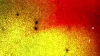 Black trans woman shows she's all woman