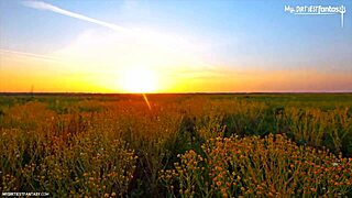 farmer twink jerks and sucks dick on the ranch