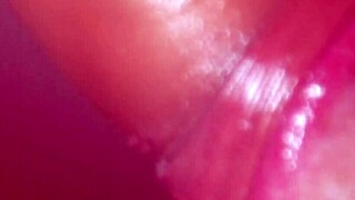 Little Latina Slut Sucks Cock And Cums In Mouth During Special Weekend