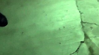 Sultry stranger seeks company and gets a rough ride