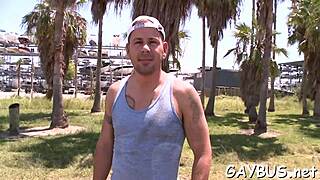 gay video featuring homosexual themes