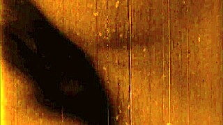 vintage erotic illustrations