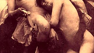 vintage erotic illustrations