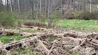 Emo Slut Gets Fucked On Tree Stump In Public.