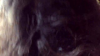 Pretty pawg, um, blows long till he nuts in mouth!