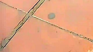 Did I Fuck My Step Cousin at Work for Cash?