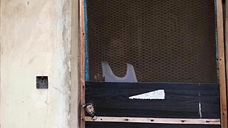 chubby big-tits slut lures house cleaner for outdoor quickie. she gets pounded hard and fast!