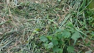 Stretching tight African pussy outdoors with my cock.