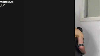 Training in action complete collection bundle iii, buy three get one free.