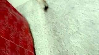 a colombian woman navigates her life in the city