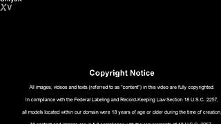 Anal Passion with Chanel Preston and Nacho Vidal Drives Me Wild