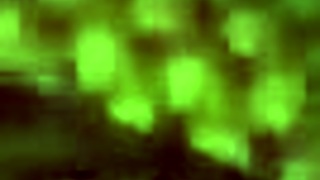 Latina Couple Plays with Toys, Gagging on Deepthroat While Licking Toes and Masturbating