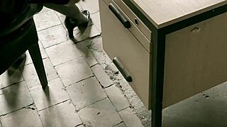 Dominatrix Mistress Punishes Bound Slave in Toilet