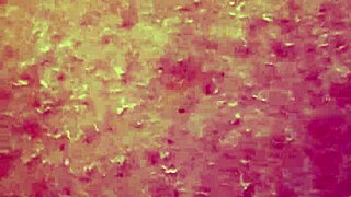 Amateur solo scene with big tits and toy play